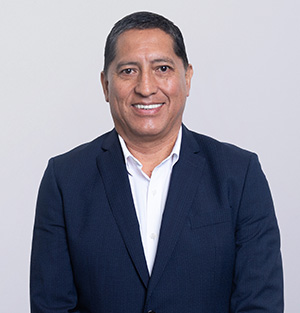luis arauzo miranda y amado